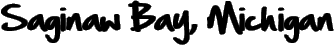 Saginaw Bay, Michigan