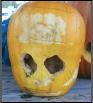 Pumpkin0300