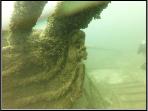 SanduskyFigurehead393